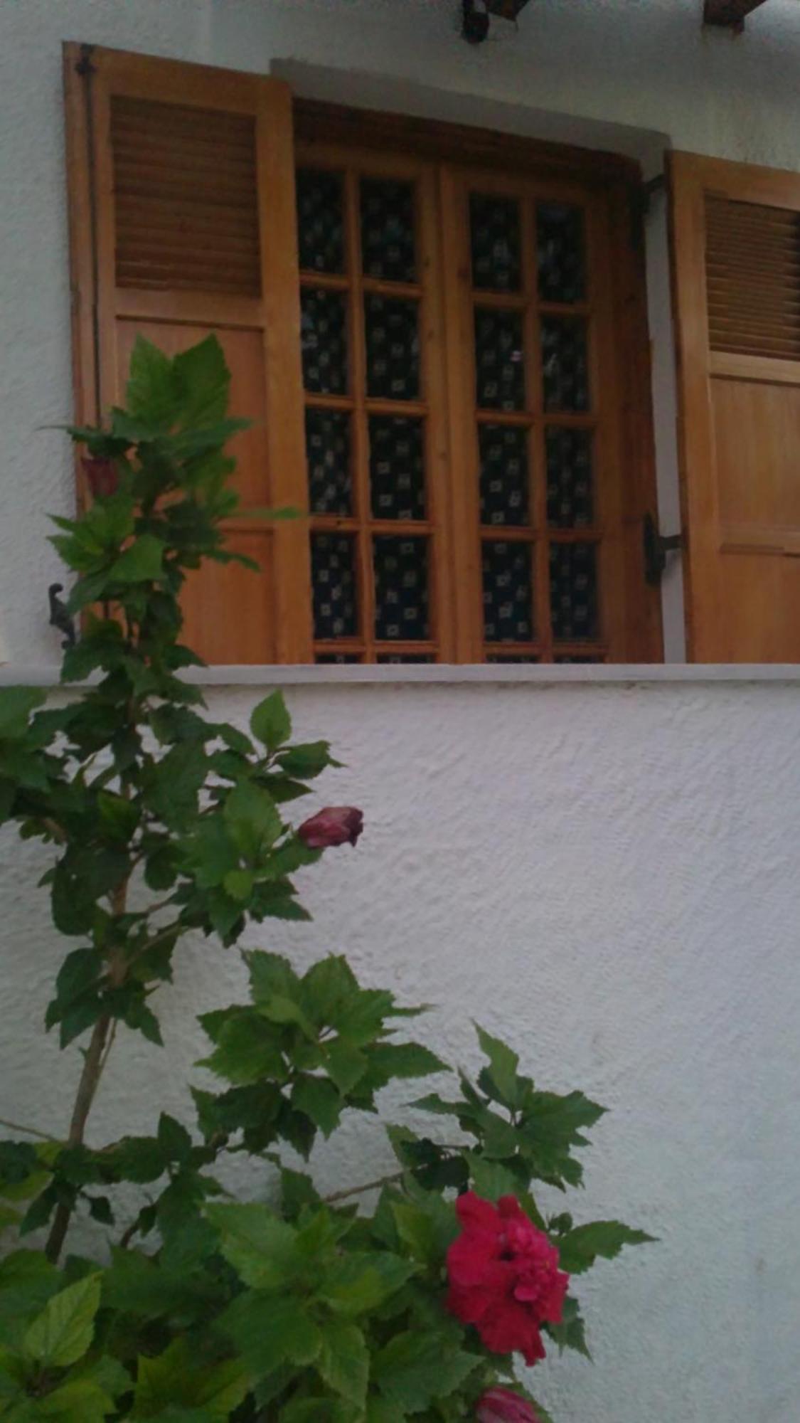 Pantazis Studios Aegina Exteriör bild