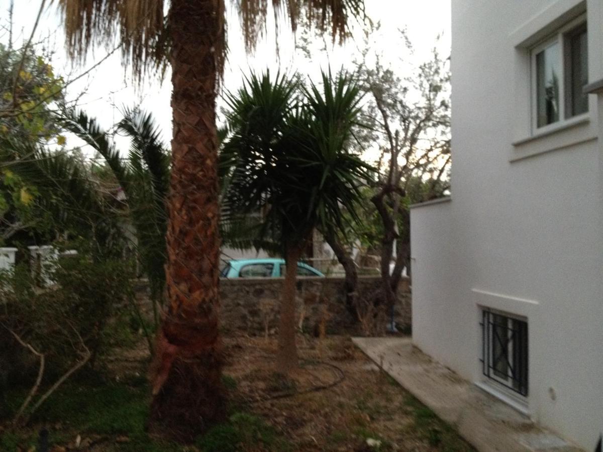 Pantazis Studios Aegina Rum bild